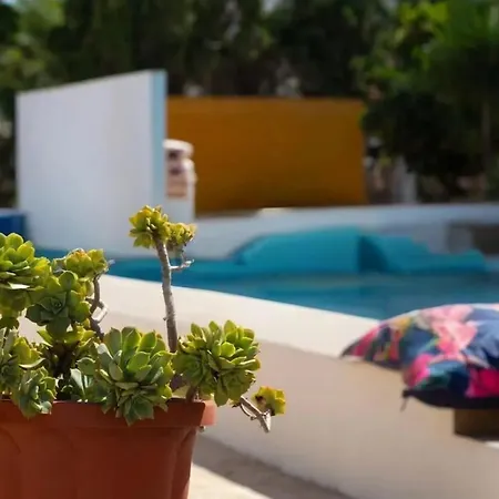 De Osos - Roquetas De Mar, Almeria, 3mins Walk To Playa Serena & Club De Golf Playa Serena, Entire House, With Xxl Private Pool & Gym Villa
